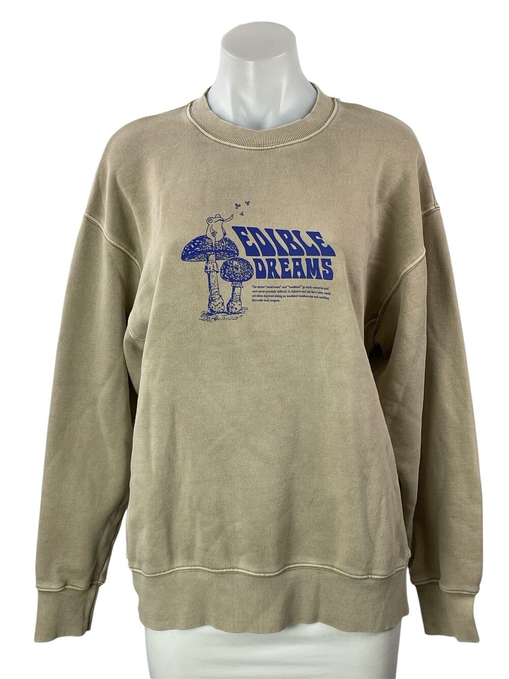 Aritzia TNA Cozy Beige Boyfriend Fleece Graphic Long Sleeve Sweatshirt Top Sz S
